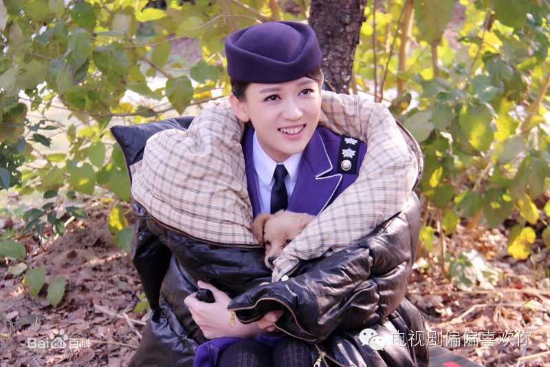 陈乔恩(Joe Chen)出演的电视剧图册