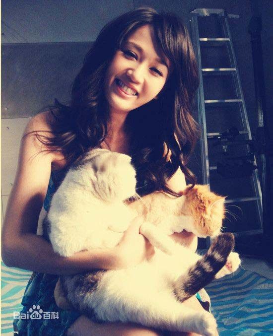 陈乔恩(Joe Chen)精选个人【1】图册