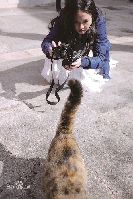 陈乔恩(Joe Chen)精选个人【3】图册