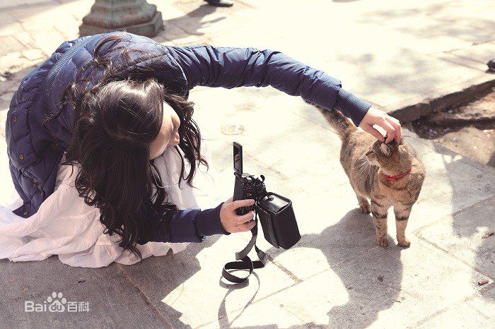 陈乔恩(Joe Chen)精选个人【3】图册