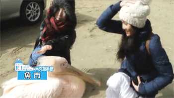 最新陈乔恩(Joe Chen)壁纸