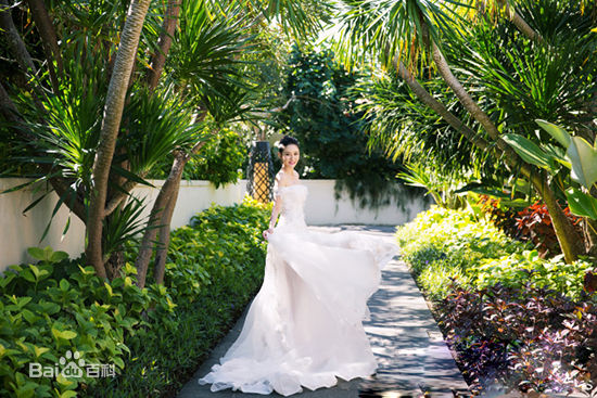 最新陈乔恩(Joe Chen)壁纸