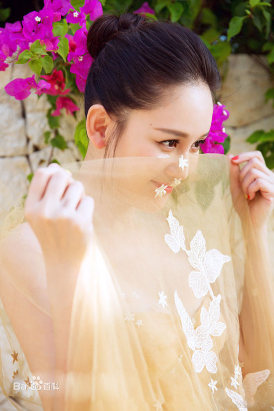 最新陈乔恩(Joe Chen)壁纸