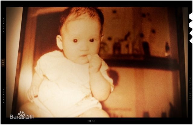 最新陈乔恩(Joe Chen)壁纸