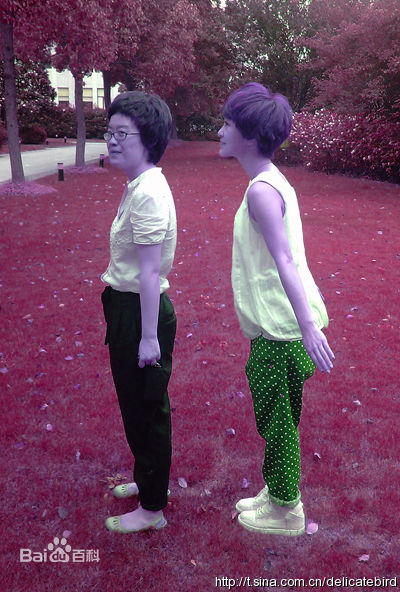 精选郭采洁(Amber Kuo)精彩图册