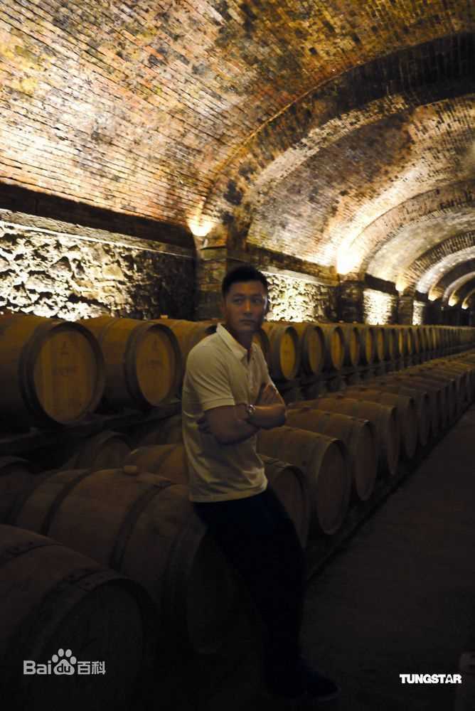 高清余文乐(Shawn Yue)精彩图册