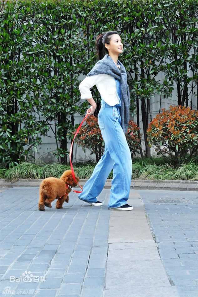 最新张歆艺(Zhang Xinyi)精彩图册