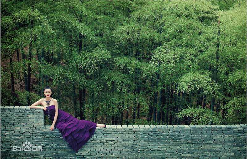 最新张歆艺(Zhang Xinyi)精彩图册