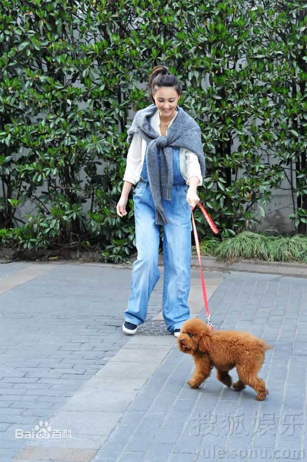 高清张歆艺(Zhang Xinyi)精彩图册