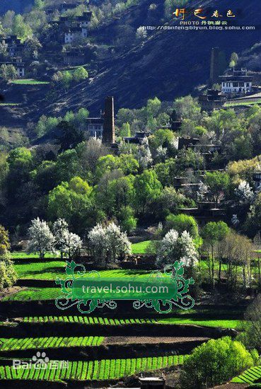 张歆艺(Zhang Xinyi)精彩图册