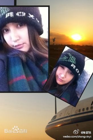 精选张歆艺(Zhang Xinyi)精彩图册