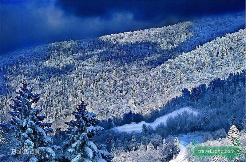 最全张歆艺(Zhang Xinyi)精彩图册