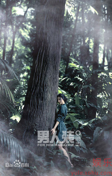 最全张歆艺(Zhang Xinyi)精彩图册