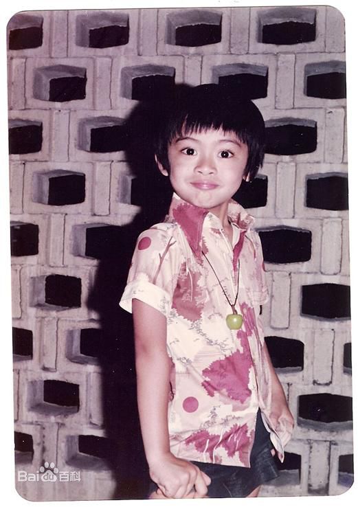 高清樊少皇(Louis Fan)精彩图册