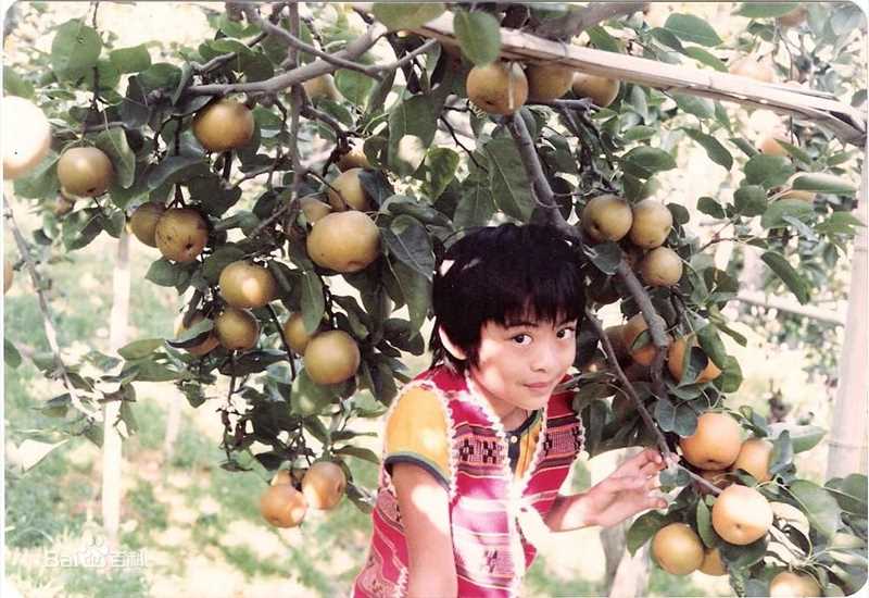 高清樊少皇(Louis Fan)精彩图册