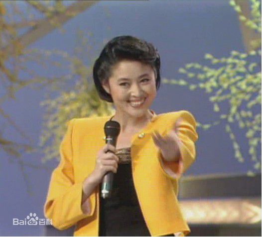 倪萍(<i>Ni Ping</i>)1991年主持春晚照片前后照片
