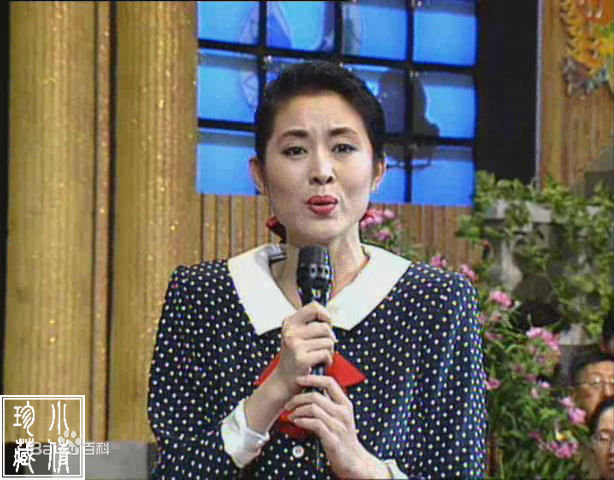 倪萍(<i>Ni Ping</i>)1993年主持春晚照片性感图片图集