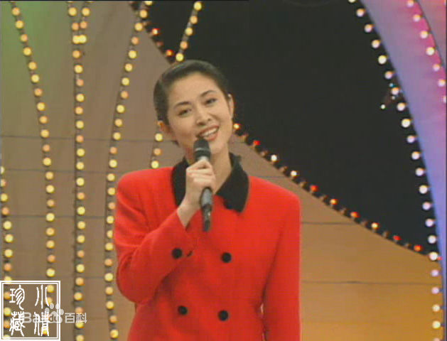 倪萍(<i>Ni Ping</i>)1995年主持春晚照片素颜照相册
