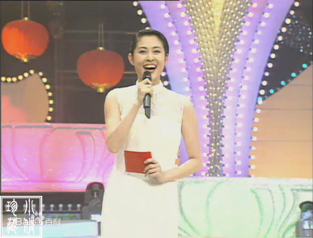 倪萍(<i>Ni Ping</i>)1995年主持春晚照片素颜照相册