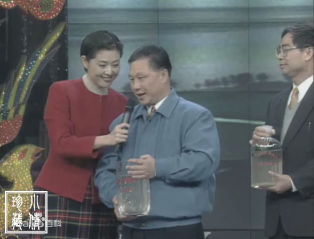 倪萍(<i>Ni Ping</i>)1998年主持春晚照片前后照片