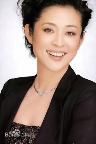 最全倪萍(<i>Ni Ping</i>)精彩图册