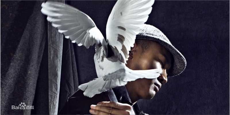 高清聂远精彩图册