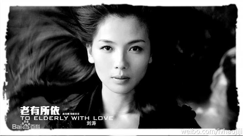 精选刘涛(Tamia Liu)在《老有所依》江木兰中的图册