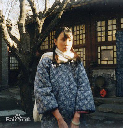 陶虹参演电影作品（1994--2011）图册