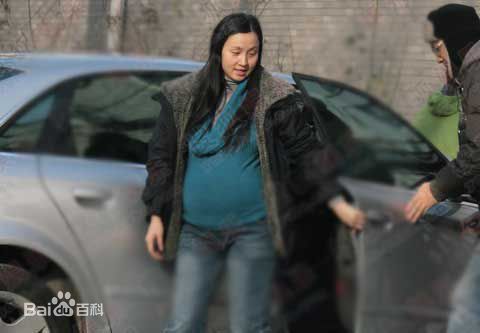 陶虹生活照壁纸壁纸