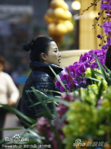 最新殷桃(Yin Tao)精彩图册