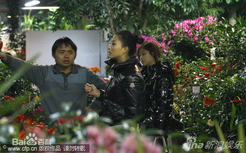 精选殷桃(Yin Tao)精彩图册