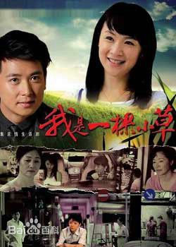 佟丽娅(Tong Liya、 Liliya)电视剧高清海报图册