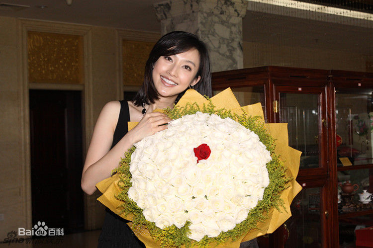 精选张俪(Zhang Li)精彩图册