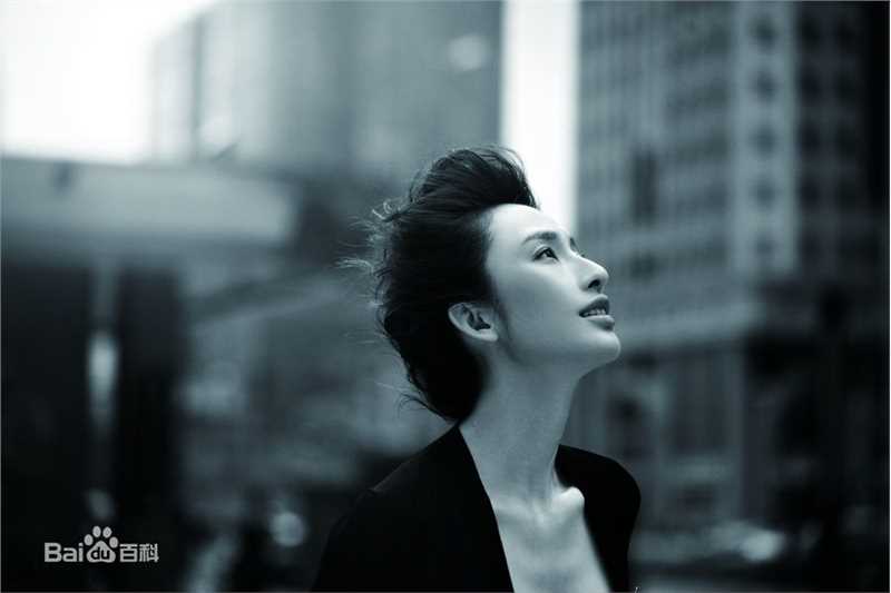 精选张俪(Zhang Li)精彩图册