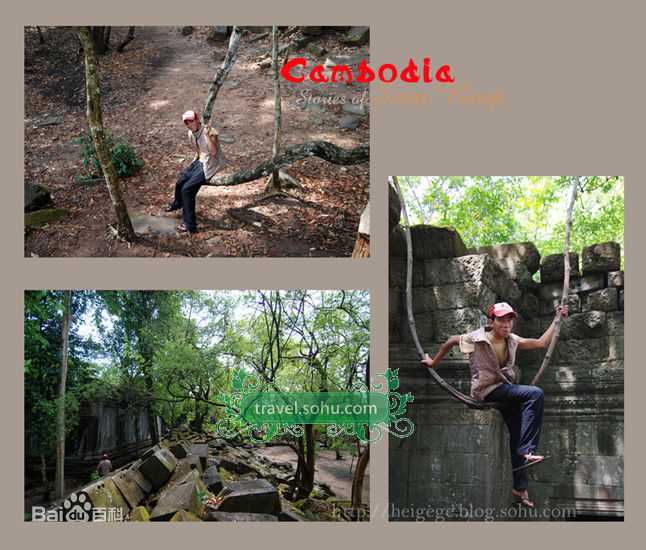 精选张俪(Zhang Li)精彩图册