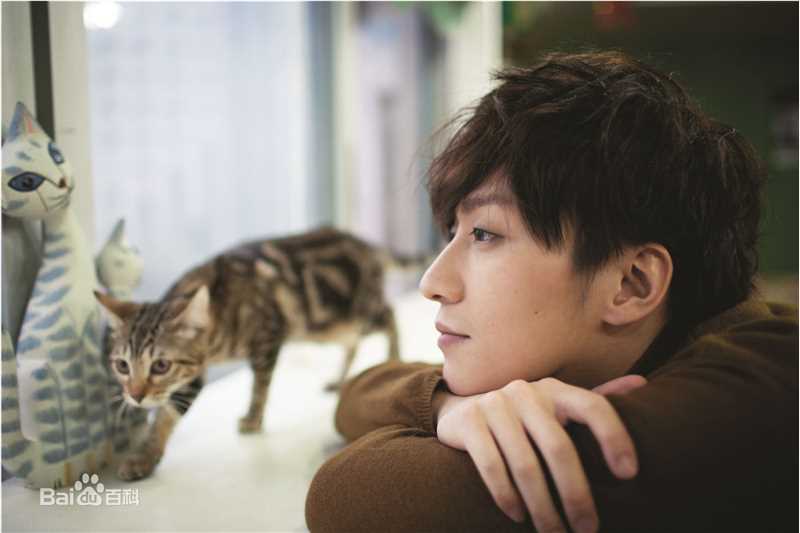 乔任梁(Kimi)跟我回家的猫壁纸壁纸