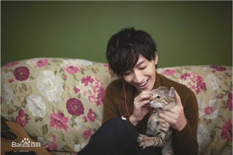 乔任梁(Kimi)跟我回家的猫壁纸壁纸