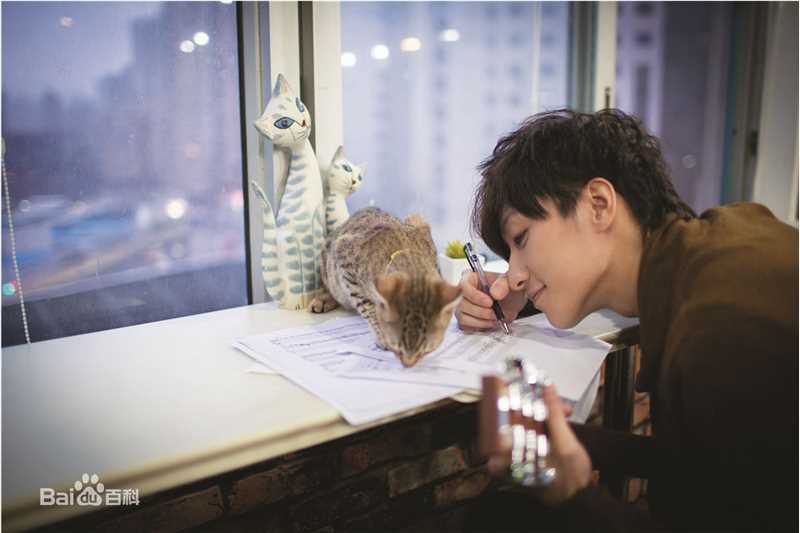 乔任梁(Kimi)跟我回家的猫壁纸壁纸