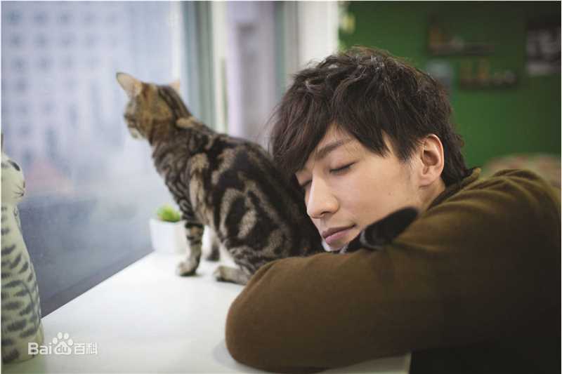 乔任梁(Kimi)跟我回家的猫壁纸壁纸