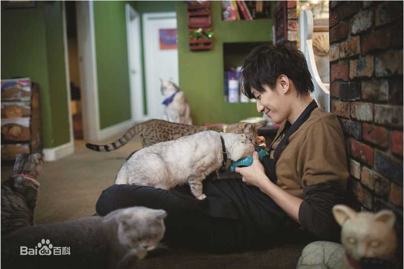 乔任梁(Kimi)跟我回家的猫壁纸壁纸