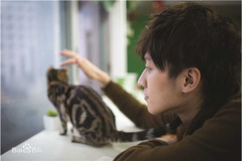 乔任梁(Kimi)跟我回家的猫壁纸壁纸