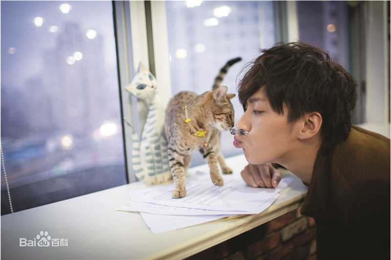 乔任梁(Kimi)跟我回家的猫壁纸壁纸