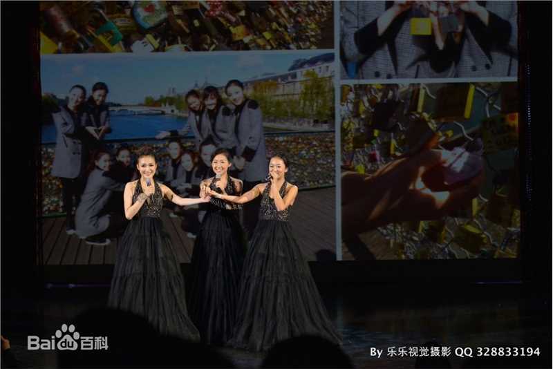 张子琪(Serena)2012中华小姐环球大赛总决赛壁纸壁纸