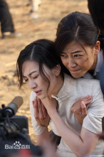 精选应采儿(Cherrie Ying)在2007年《凤穿牡丹》饰演郁芷岚中的图册