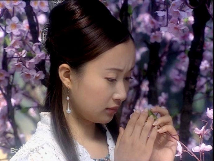 舒畅(Jennifer)古装精选剧照精选