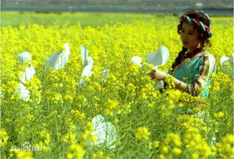 舒畅(Jennifer)现代剧最新剧照精选