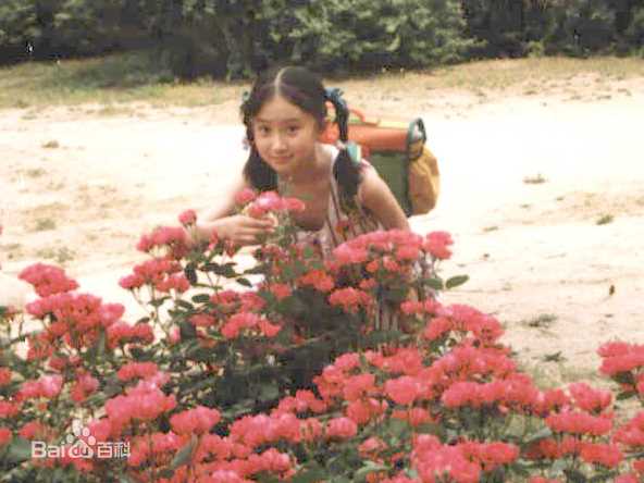 舒畅(Jennifer)童年MTV、专辑图片生活照相册