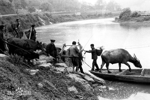 最全王洛勇(Luoyong Wang)素颜照