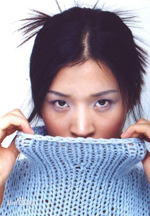 最新王海珍精彩图册