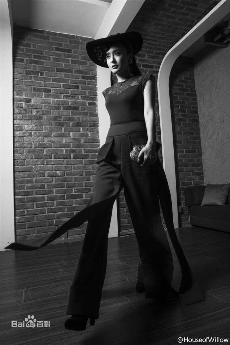 秦岚(Qin Lan)最优质杂志相册